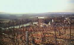 Sur les hauteurs d'Epernay : vue sur la Marne