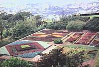 Le jardin Botanique de Funchal